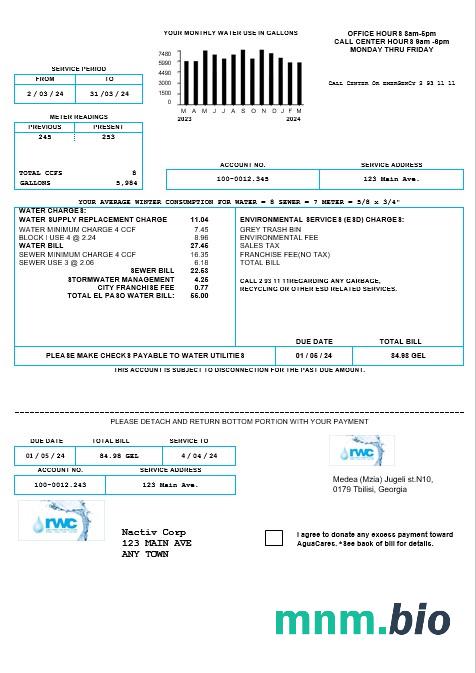 Georgia RWC water business bill szablon w formacie Word i PDF